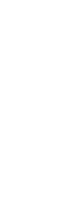 咲き誇れ。 豊田のまちと夜空に。